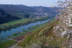 fr%c3%bchling-rudermeile