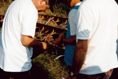 img12