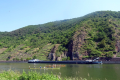 DSC02370