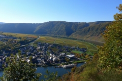 herbstweinberg-bei-briedern-1