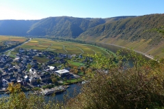 herbstweinberg-bei-briedern-5