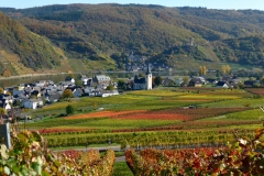 herbstweinberg-bei-poltersdorf-4
